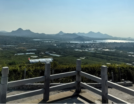 平度大澤山葡萄園引進(jìn)萊恩德土壤肥料檢測(cè)儀， 輕松掌握土壤營(yíng)養(yǎng)